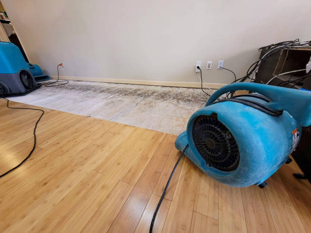 Professional Ceiling Water Damage Repair technician working in Welch, OK